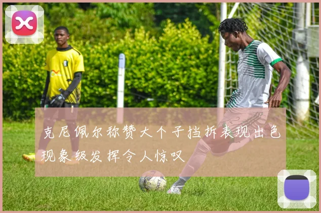 克尼佩尔称赞大个子挡拆表现出色现象级发挥令人惊叹